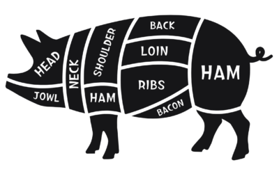 From Snout to Tail