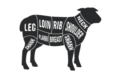 Lamb Cuts Explained