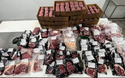 How Much Meat Does A Cow Yield